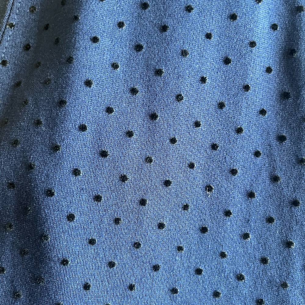 Anthropologie Maeve Sevigny Polka Dot Midi Skirt - Picture 4 of 8
